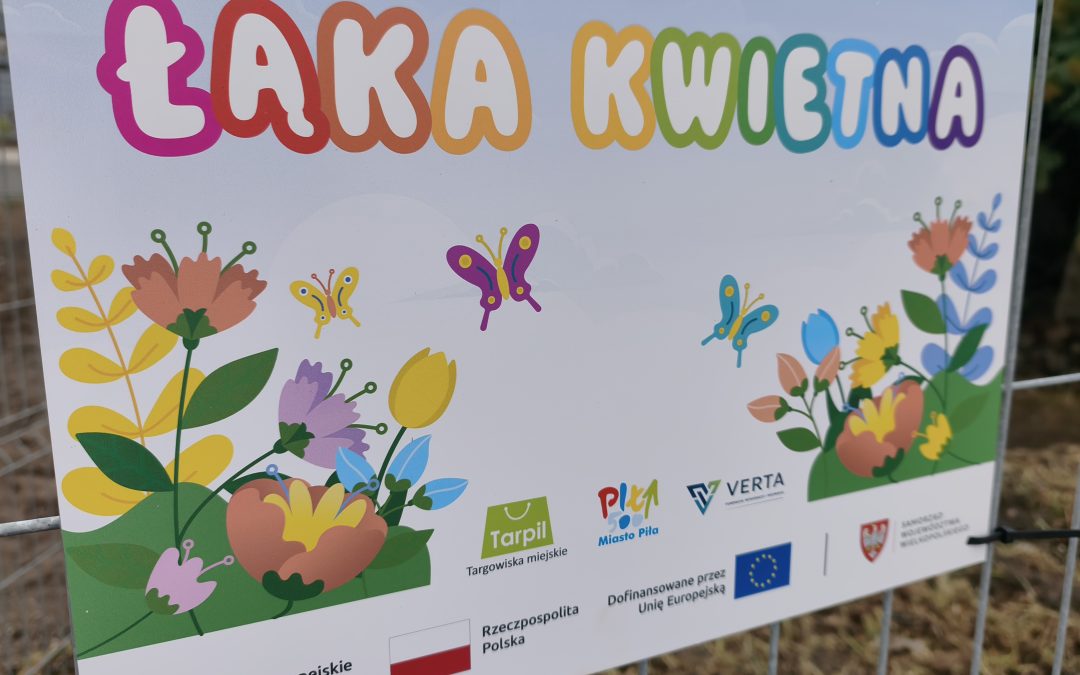 Zatrzymuj wodę i posiej łąki kwietne
